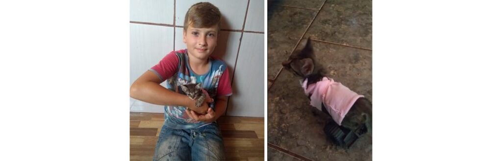 Ele fez um carrinho para a gatinha voltar a andar