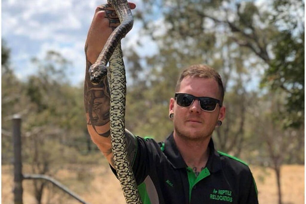 Esses são os irmãos passeando ao lado da cobra