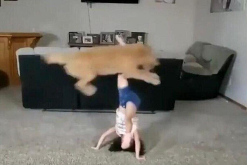 A internet amou o vídeo da menina e seu cão