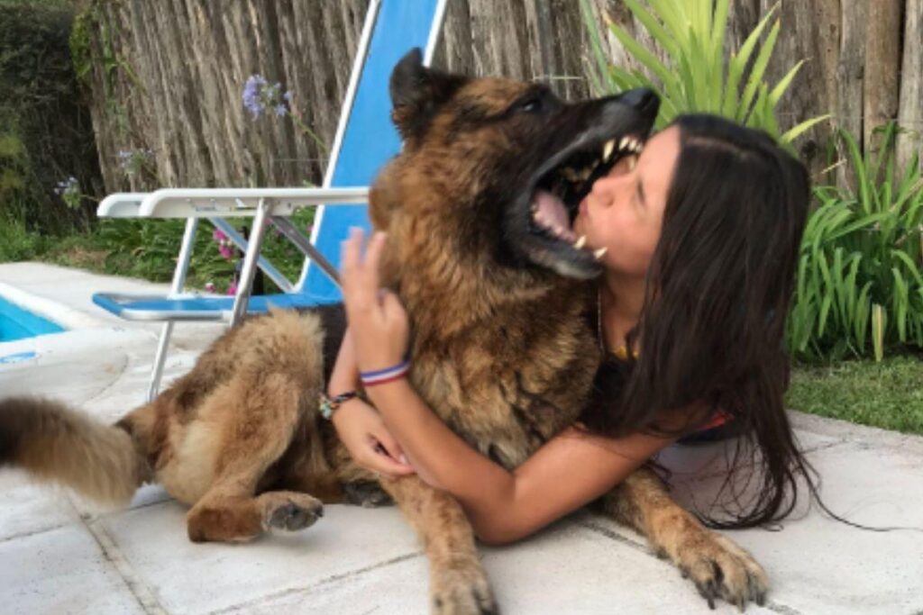 A jovem publicou em suas redes sociais as fotos com o cachorro