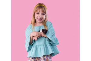 Hamster podem se tornar o pet ideal para o seu filho