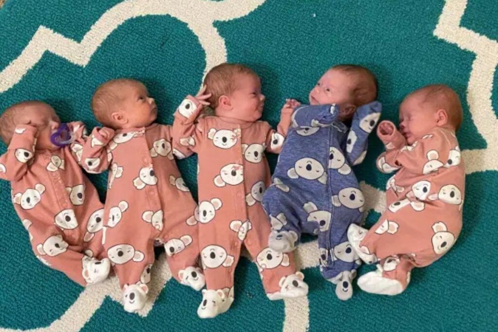 A familia foi de 4 para 9 membros!