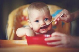 Cadeirão, tigelinha e copos: veja os produtos essenciais para a alimentação do seu filho com 30% de desconto