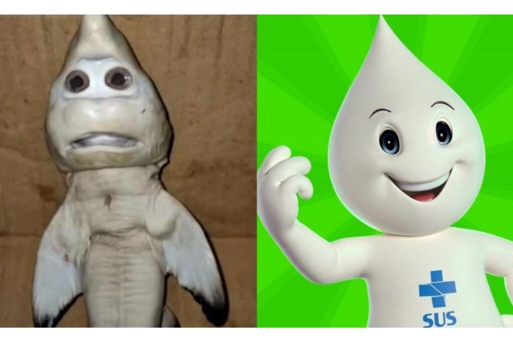 O tubarão foi comparado com o Zé Gotinha