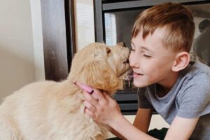 Menino com deficiência adota cachorro com a mesma condição: “Almas-gêmeas”
