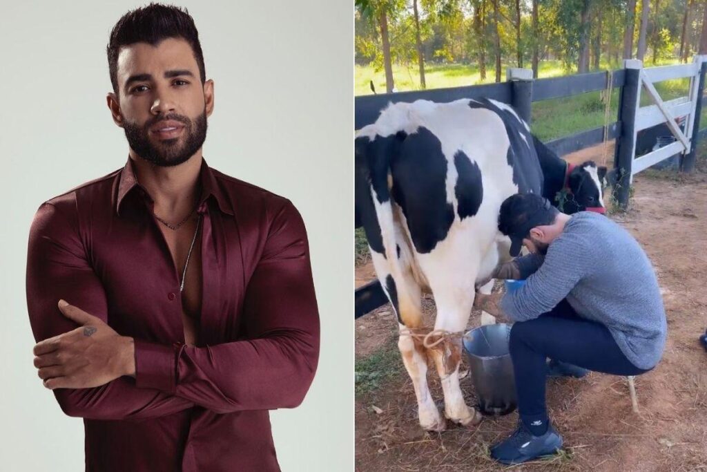 Gusttavo Lima ordenha vaca ao lado do filho