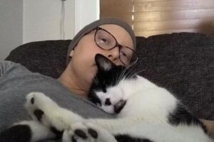 O animal deitou na mama com câncer da dona até a cirurgia de remoção