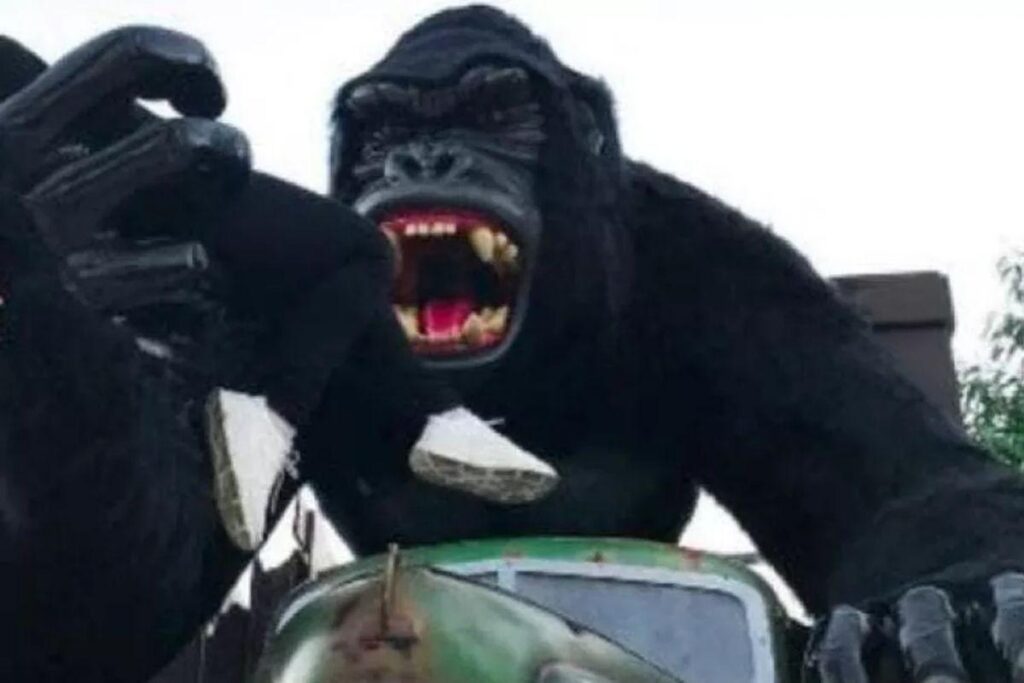 Menino que caiu de atração no Beto Carreiro se assustou com rugido do gorila
