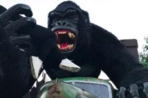 Menino que caiu de atração no Beto Carreiro abriu os olhos e está respondendo aos estímulos