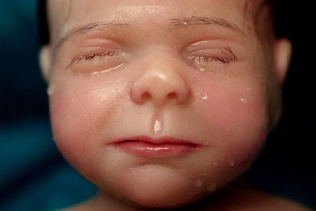 Bebê reborn
