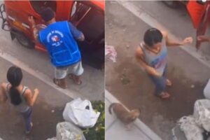 Chique! Cachorro volta para casa de moto-táxi após ser esquecido em mercado