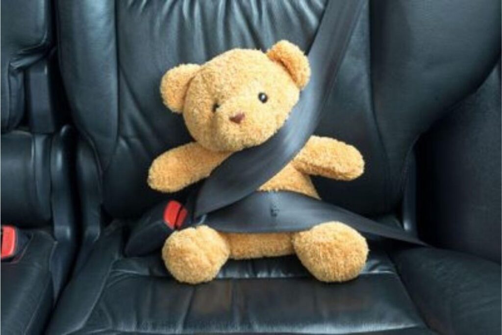 Cadeirinha para carro Simple Safe, da Cosco