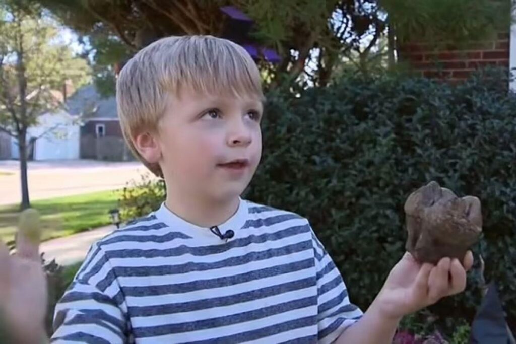Menino de 6 anos acha fóssil de animal extinto há 12 mil anos