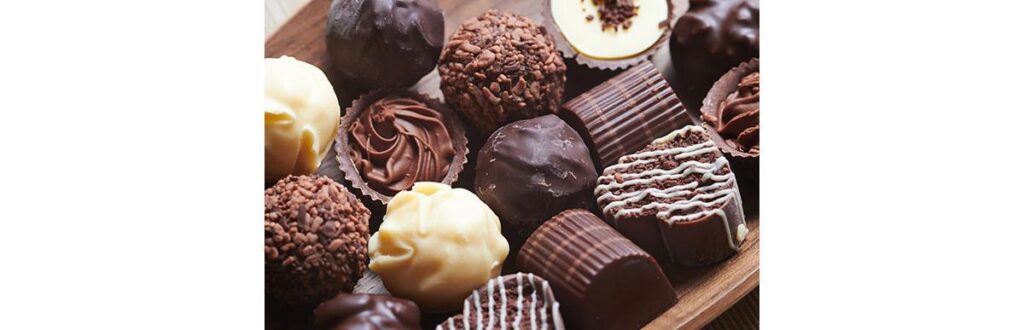 O projeto ambicioso atenderá os amantes de chocolate em Campos do Jordão