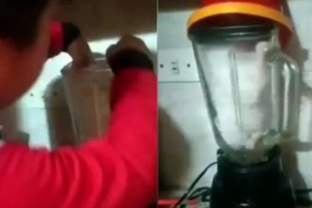 O menino estava prestes a ligar o liquidificador com o animal dentro
