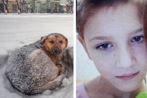O cachorro salvou a vida de Vika
