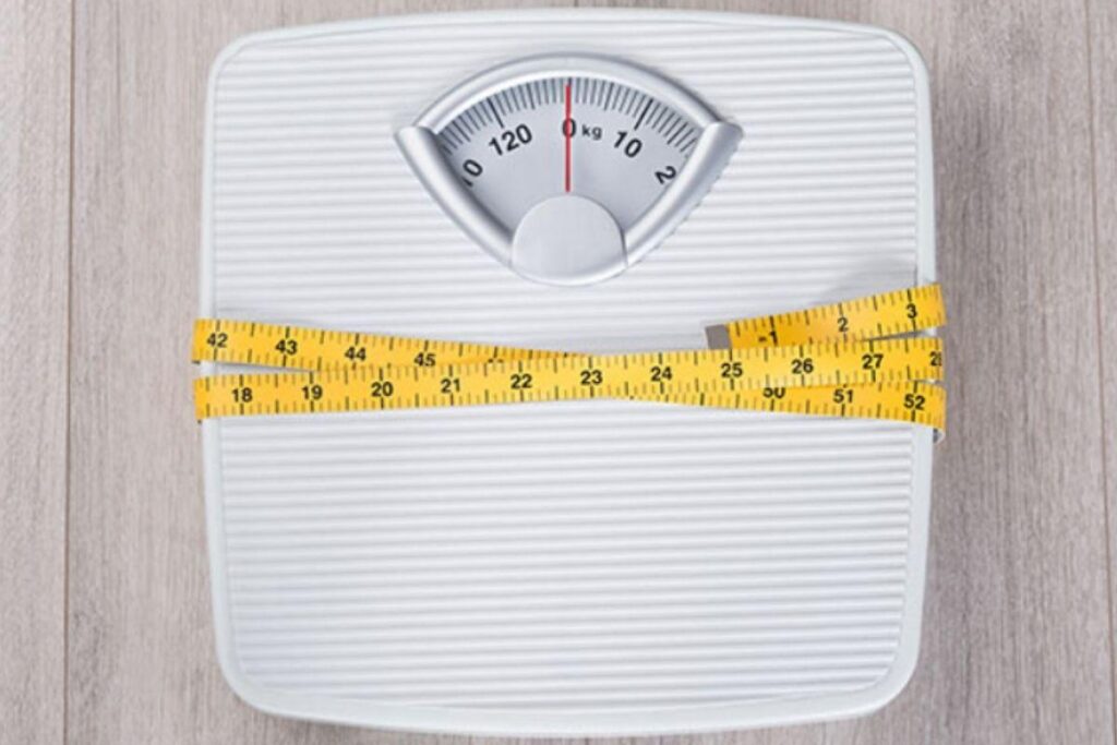 Pesquisadores criam proteína que reduz obesidade