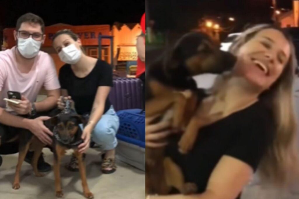 Casal adota cachorro em viagem