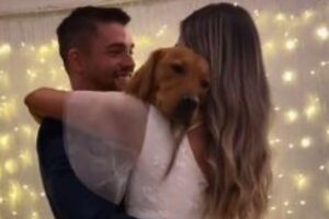 Os noivos dançaram a valsa do casamento com o cachorro no colo