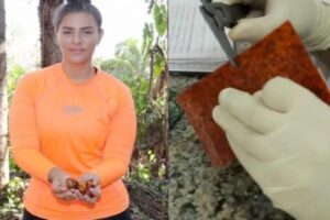 A estudante passou todo o ensino médio focada no projeto