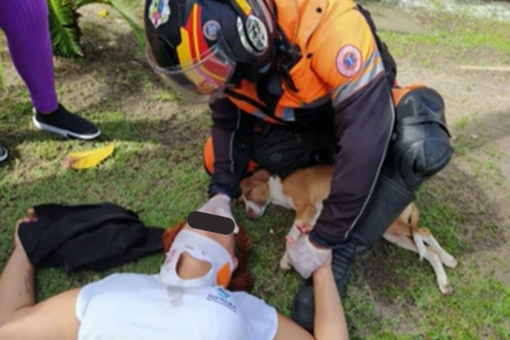 Mulher cai de moto e cachorro fica com ela durante todo o resgate