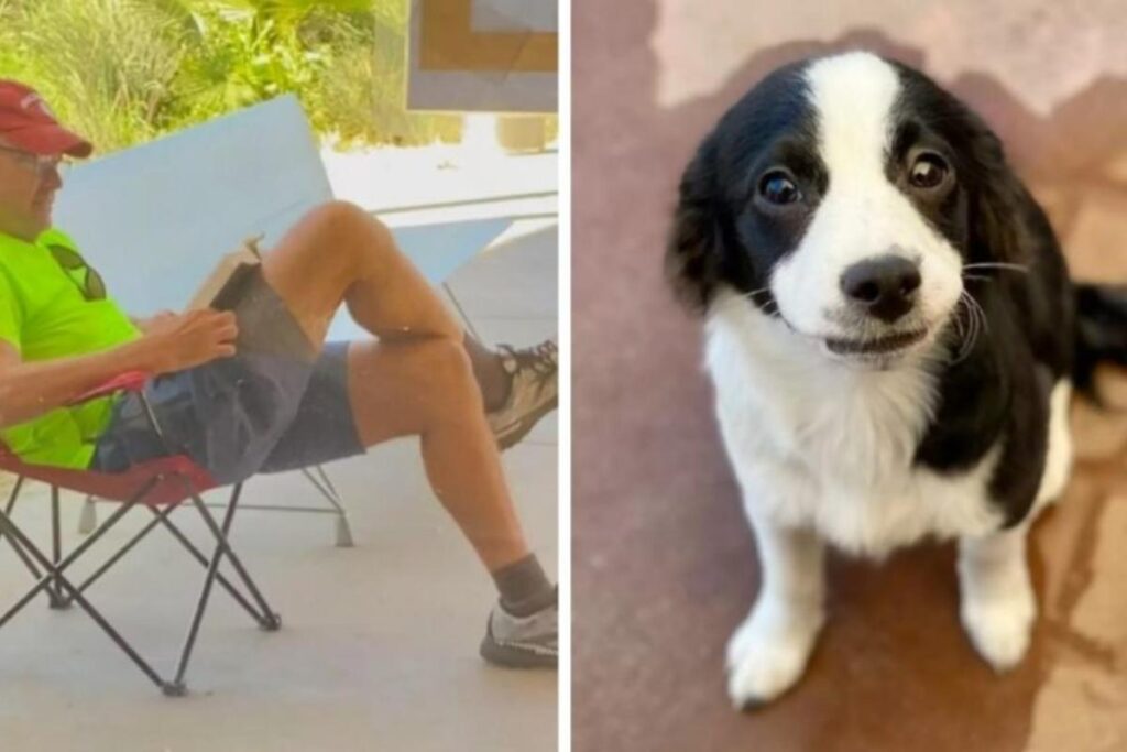O filhote de cachorro foi adotado por um dentista aposentado