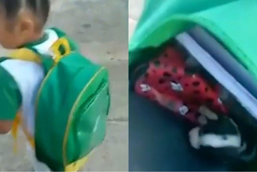 A garota escondeu o cachorro de 30 dias na mochila