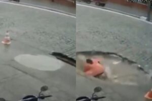 A mulher estava indo para o trabalho