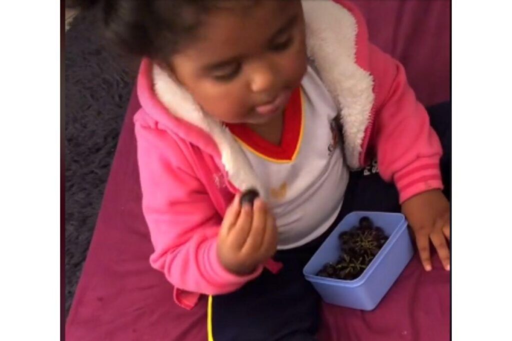 A menina de apenas 3 anos fez sucesso após corrigir a forma que a mãe fala