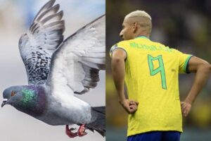 Richarlison foi apelidado de “pombo”