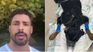 Cauã Reymond lamenta morte de cachorro envenenado: “Tão triste e dolorido”