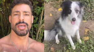 Cauã Reymond atualiza estado saúde de segundo cachorro envenenado