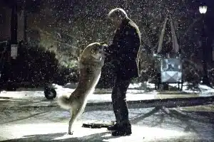 Prepare os Lencinhos! "Sempre ao Seu Lado" é o Filme Perfeito Para Ver em Família!