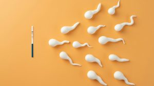 Como ter filhos depois da vasectomia: entenda os tratamentos possíveis