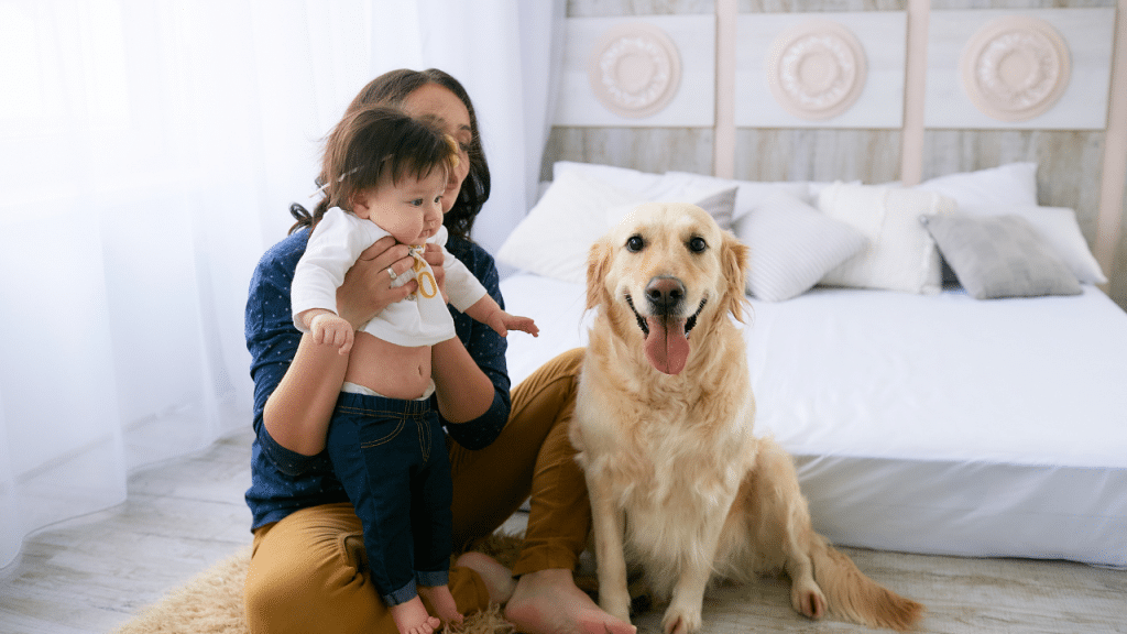 As melhores raças de cães para famílias com crianças