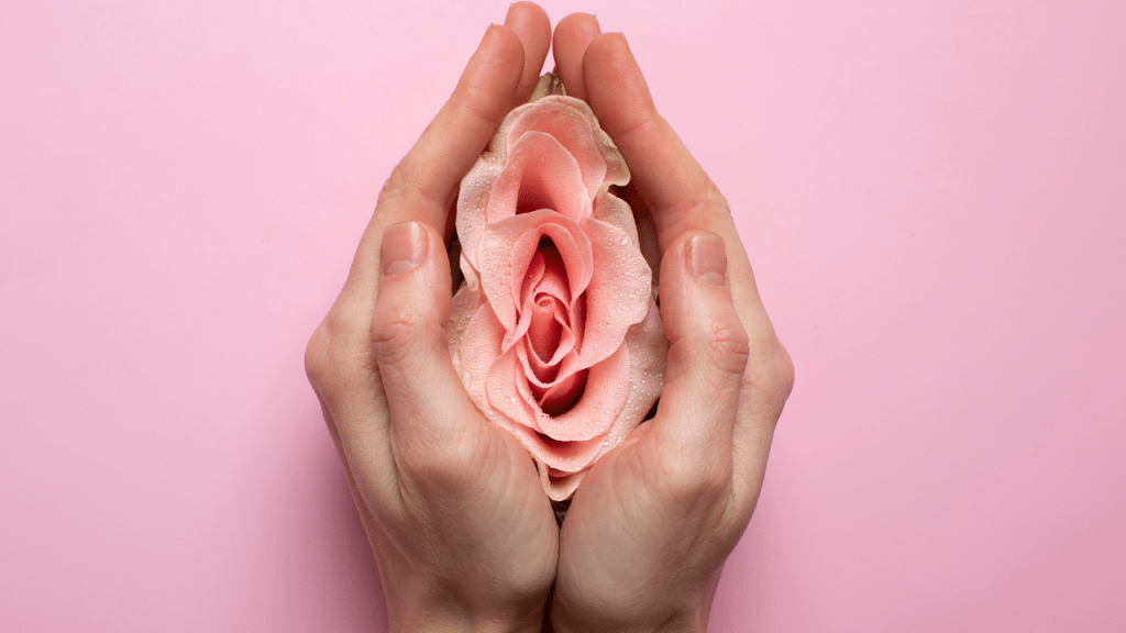 Alerta na gravidez: 4 infecções vaginais que você precisa conhecer agora