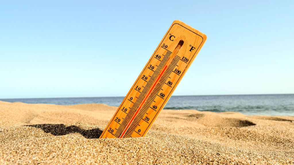 Entenda como o calor extremo interfere na saúde familiar. Foto: Freepik